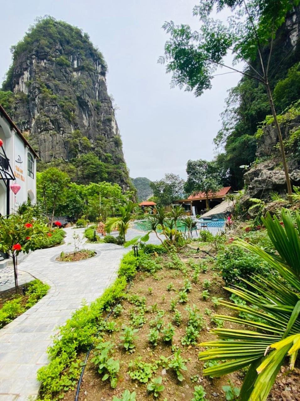 Tam Coc Galaxy Villa Ninh Bình Ngoại thất bức ảnh